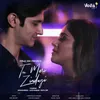 About Tu Meri Zindagi Song